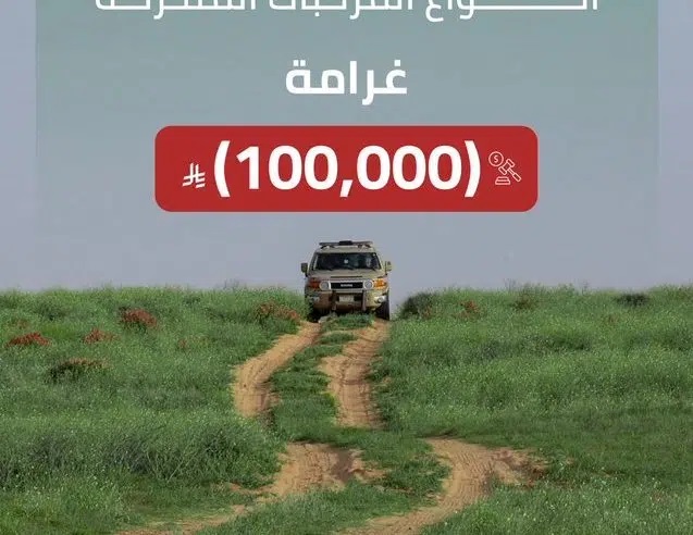 منع الصيد من المركبات المتحركة.. وغرامة تصل إلى 100 ألف ريال