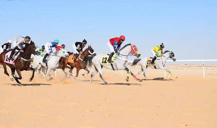 بالصور.. فروسية الأحساء تقيم حفل سباقها الرابع