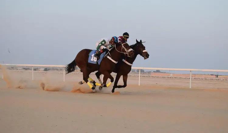 بالصور.. فروسية الأحساء تقيم حفل سباقها الخامس