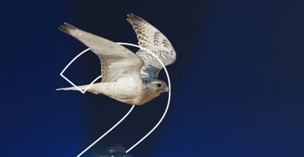 الأحد المقبل.. انطلاق فعاليات كأس نادي الصقور في الظهران إكسبو