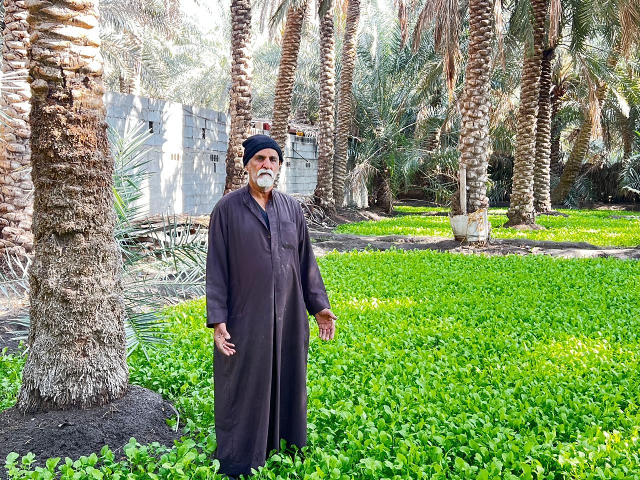 المزارع محمد حبيب الحمود