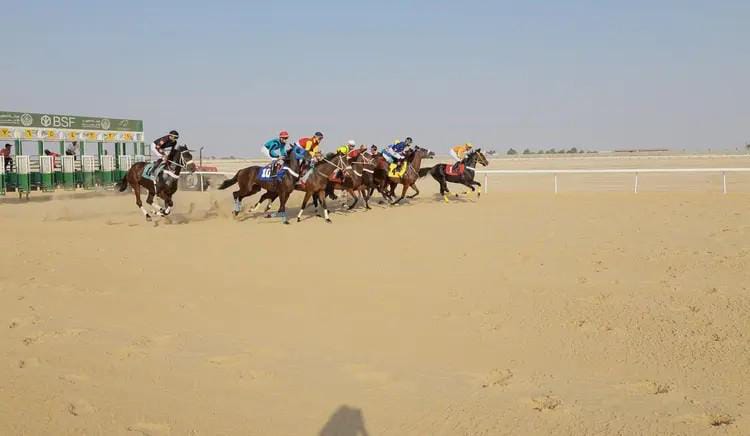 بالصور.. ميدان الفروسية بالأحساء يقيم سباقات الفروسية السادس
