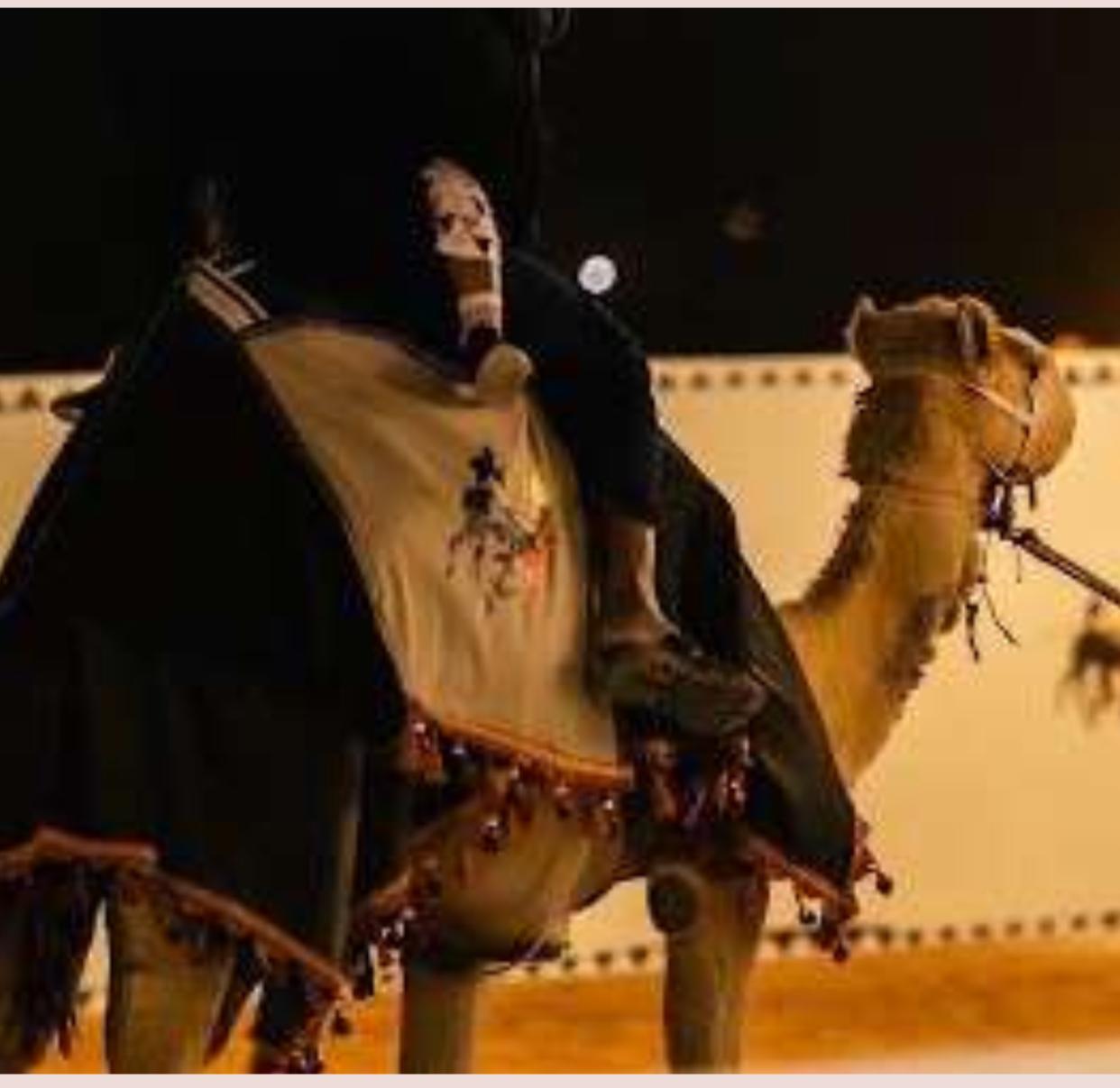 تنقل البضائع بواسطة الجمال