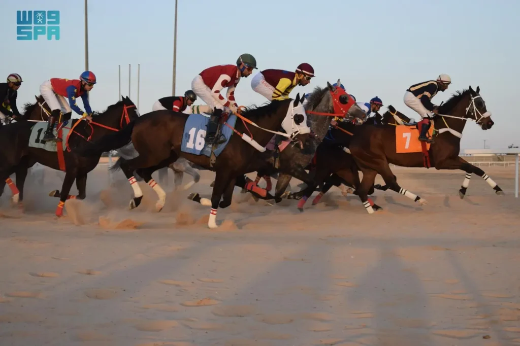 في الأحساء.. ميدان الفروسية يقيم الحفل الثاني عشر لسباقات الموسم 1447 هـ