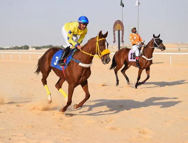 بالصور.. فروسية الأحساء يقيم الحفل الحادي عشر لسباق ميدان الفروسية