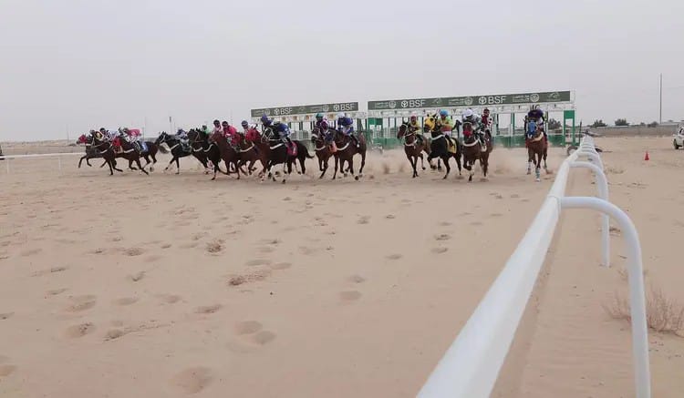 بالصور.. ميدان فروسية الأحساء يقيم سباقه الثالث عشر