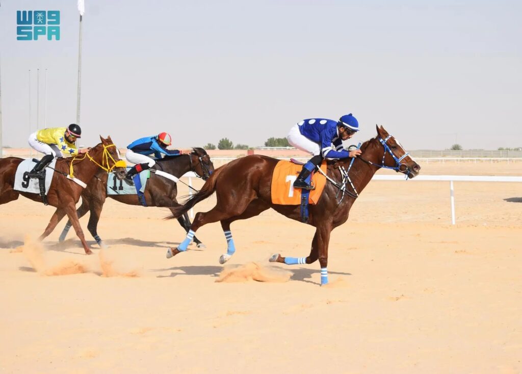 ميدان فروسية الأحساء يقيم الحفل العاشر لسباقات الفروسية