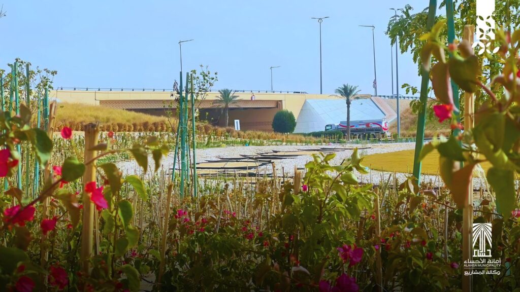 أمانة الأحساء تستحضر الإرث الزراعي في يوم مبادرة السعودية الخضراء