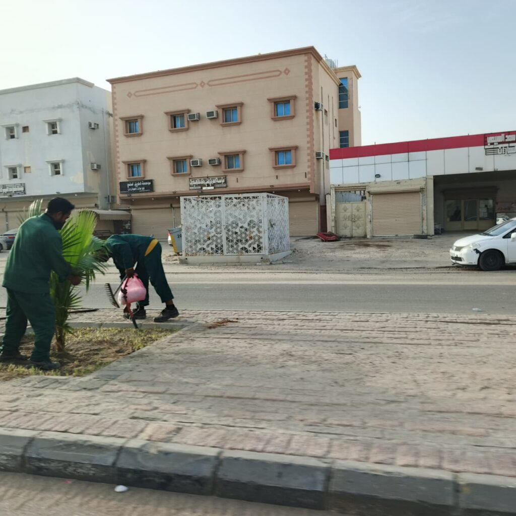 بلدية العيون تطلق المرحلة الثانية من مبادرة “زراعة الشجر”
