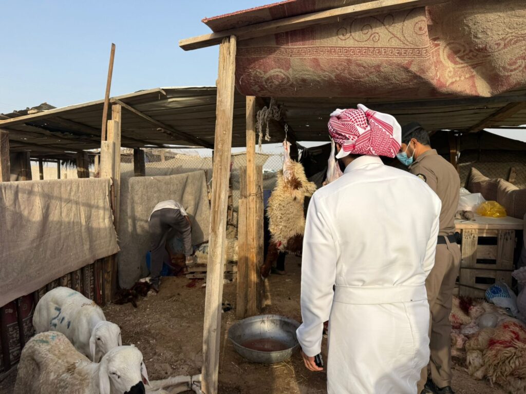 ضبط 4 أحواش عشوائية للذبح خلال عيد الأضحى بالأحساء