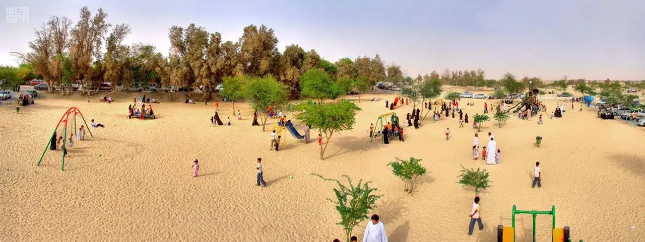 صور واس