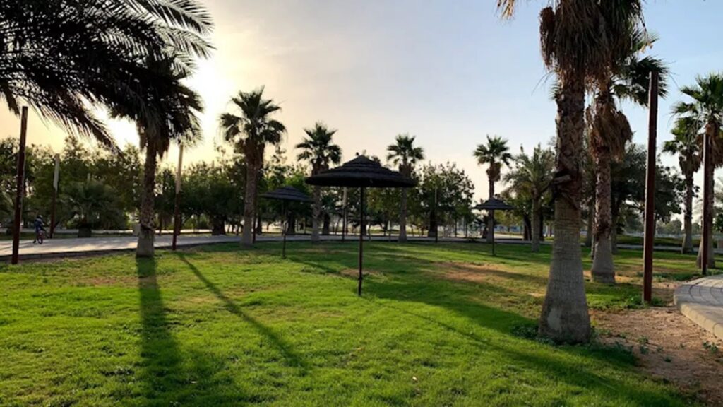 منتزه الملك عبدالله البيئي بالأحساء يفتح أبوابه للزوار على مدار الساعة 