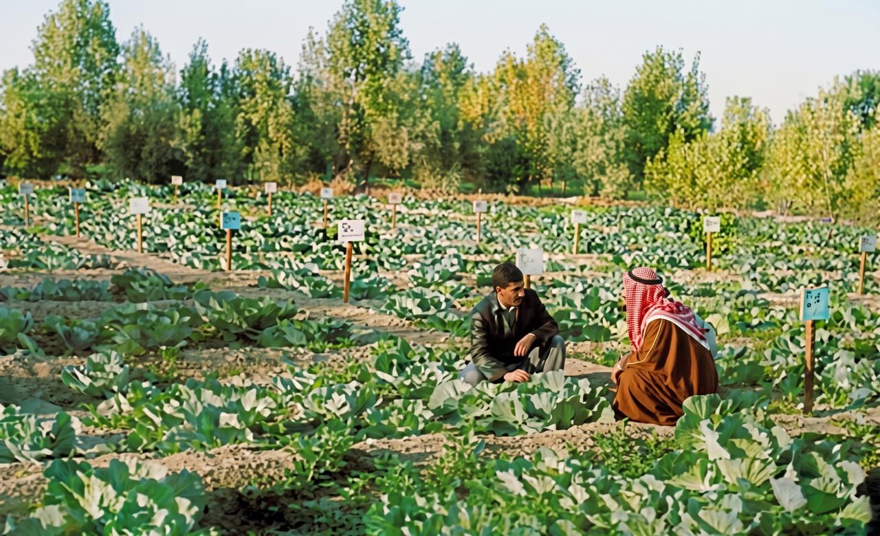 (صورة حقيقية بواسطة: عبدالناصر شقرة – مجلة العربي ع ٦١ – عام ١٩٦٦، تم تحسينها بواسطة الذكاء الاصطناعي من قِبل المُحرر)