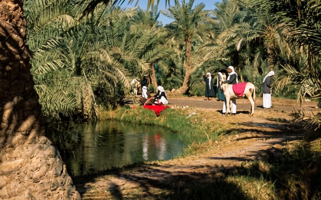 “صور نادرة ” توثّق سيرة الأحساء في صناعة الأمن الغذائي للمملكة والعالم